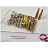 Image 1 : AMMO : Sellier & Bellot : 7.62x54R (20 Rnds TOTAL)