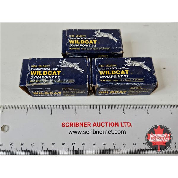 AMMO : Vintage Winchester Western Wildcat Dynapoint : 22LR (40gr) (144 Rnds TOTAL)