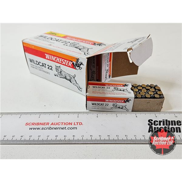 AMMO : Winchester Wildcat : 22LR (40gr : Lead) (500 Rnds TOTAL)
