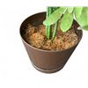 Image 2 : Artificial Schefflera Plant in Brown Pot