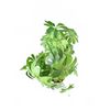 Image 3 : Artificial Schefflera Plant in Brown Pot