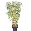 Image 1 : Artificial Bamboo Plant in Black Planter