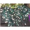 Image 2 : 2 Floral Wreaths with White Flowers and String of White Outdoor Lights