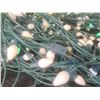 Image 3 : 2 Floral Wreaths with White Flowers and String of White Outdoor Lights
