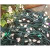 Image 4 : 2 Floral Wreaths with White Flowers and String of White Outdoor Lights