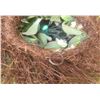 Image 7 : 2 Floral Wreaths with White Flowers and String of White Outdoor Lights