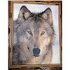 Image 7 : Decorative Lot: Abbott China Bird Figurines, Framed Wolf Prints and More