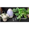 Image 1 : Artificial Potted Plants, Sunbeam Humidifier and More