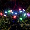 Image 6 : PACK OF TWO SOLAR FIREFLIES 10 COLORED LIGHTS