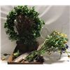 Image 1 : COLLECTION OF CHINTZ AND COMPANY SILK PLANTS AND