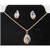 Image 1 : NEW JEWELRY DISPLAY W/ NECKLACE AND EARRING