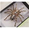 Image 1 : NEW OMBRE BLACK & WHITE SPIDER BROOCH