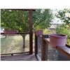 Image 10 : Outdoor Garden Lot with Broil King Gas Barbeque, Planter Boxes, Green Table, Tools and Hose
