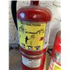 Image 3 : Amerex and Flag ABC Dry Chemical Fire Extinguishers, Two Old Units