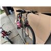Image 3 : Supercycle Mountain Bike and Nakamura Adventure Kids Bike With Training Wheels