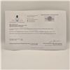 Image 2 : 3.00 CT GRA CERTIFIED ROUND BRILLIANT CUT MOISSANITE STONE VVS LIGHT GREENISH BLUE COLOR WITH 12 ROU