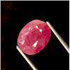 Image 3 : 6.2 ct Certified Red Ruby gemstone PARCEL ($9,300 Appraisal)