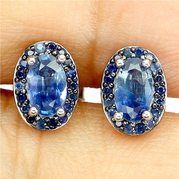 Blue Sapphire Earrings in 14k White Gold Plated 925 Sterling Silver - Appraised Replacement Value $ 