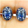 Image 1 : Blue Sapphire Earrings in 14k White Gold Plated 925 Sterling Silver - Appraised Replacement Value $ 
