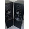 Image 4 : Boston Acoustics Austin Duel Tall Tower Speakers Pair