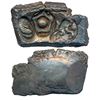 Image 1 : Ancient : Punch Marked