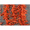 Image 6 : THREE CORAL NECKLACES