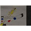 Image 7 : SAN CARLOS APACHE DRAWING (DANIEL JUAN)