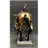 Image 2 : PAINTED PONY (STAR LIANA YORK)