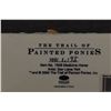 Image 6 : PAINTED PONY (STAR LIANA YORK)