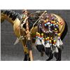 Image 8 : PAINTED PONY (STAR LIANA YORK)