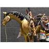 Image 9 : PAINTED PONY (STAR LIANA YORK)
