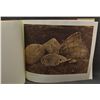 Image 3 : WESTERN PORTFOLIO AND PHOTO (EDWARD S. CURTIS)