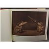 Image 7 : WESTERN PORTFOLIO AND PHOTO (EDWARD S. CURTIS)