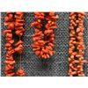 Image 6 : THREE CORAL NECKLACES
