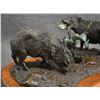 Image 10 : WESTERN BRONZE (R. C. LYNCH)