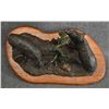Image 5 : WESTERN BRONZE (R. C. LYNCH)