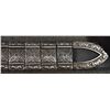 Image 6 : BELT (BRIGHTON)