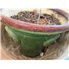 Image 10 : Garden Decor Pots, Bohemian Keg, Table