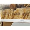 Image 3 : John Bennett "Fence Line" Signed Print