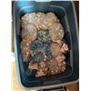 Image 2 : Aquarium 24" x 15" x 17" With Accessories