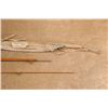 Image 6 : Winchester No. 6375 Split Bamboo 5.5' Bait Casting Rod & Original Cloth Bag