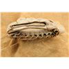 Image 3 : Antique 1920s Winchester White Leather Sewn Web Split Finger Baseball Glove