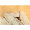 Image 7 : Antique 1920s Winchester White Leather Sewn Web Split Finger Baseball Glove