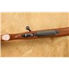 Image 13 : Pre-64 Winchester Model 70 Varmint G7012cn .243 Win. 26" Bolt Action Rifle, Mfd 1961 C&r