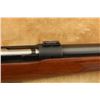 Image 23 : Pre-64 Winchester Model 70 Varmint G7012cn .243 Win. 26" Bolt Action Rifle, Mfd 1961 C&r