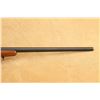 Image 6 : Pre-64 Winchester Model 70 Varmint G7012cn .243 Win. 26" Bolt Action Rifle, Mfd 1961 C&r