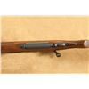 Image 13 : Pre-64 Winchester Model 70 Standard Rifle Mc No. G7032cn .243 Win. 24" Bolt Action, 1955 C&r