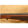 Image 23 : Winchester Model 70 Xtr Featherweight .257 Roberts 22" Bolt Action Rifle, Mfd 1982
