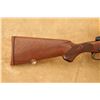 Image 3 : Winchester Model 70 Xtr Featherweight .257 Roberts 22" Bolt Action Rifle, Mfd 1982