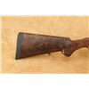 Image 3 : Webley & Scott Army Navy Csl Double Rifle 26" .303 British Break Action, 1896-1925 C&r